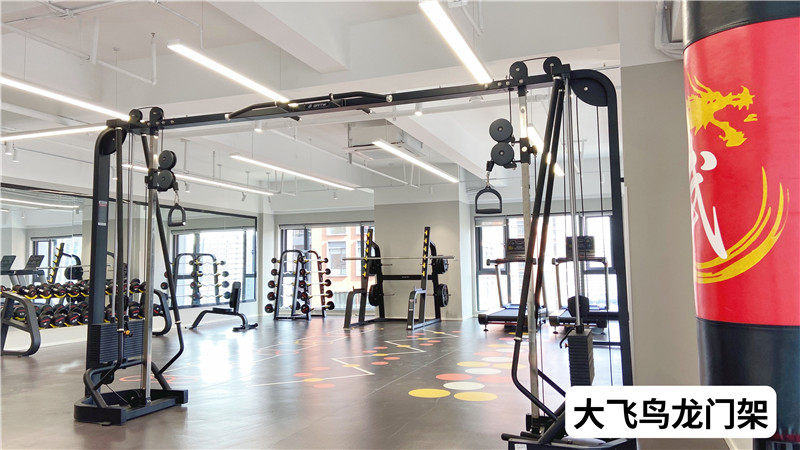 The gym is ready! Sheer Fitness activities, start now (11)