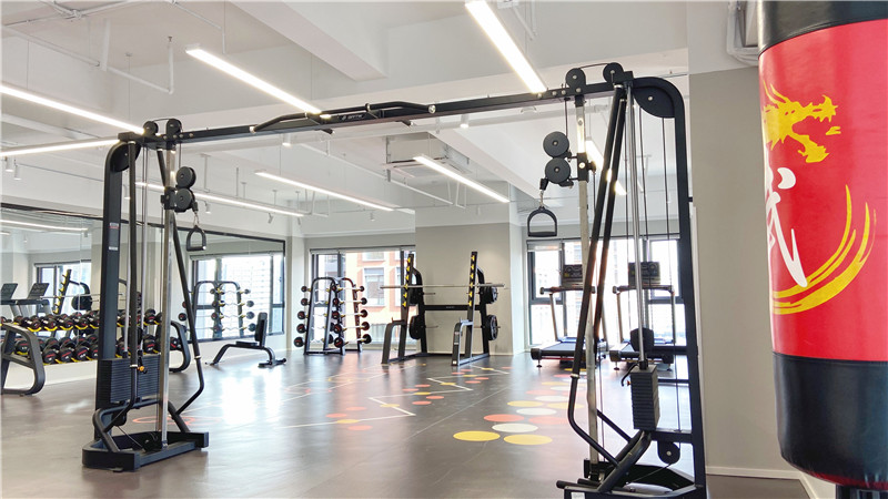 The gym is ready! Sheer Fitness activities, start now (1)